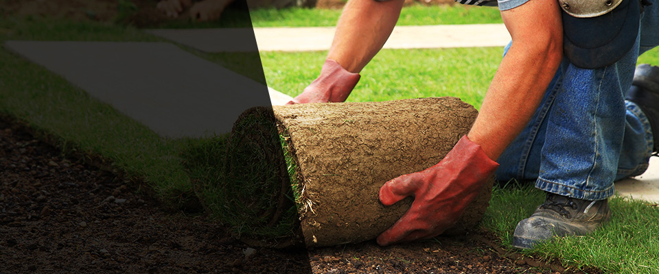 Springtown Landscapers